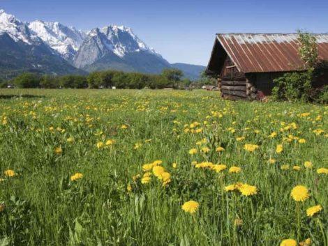 Ferienwohnung Alpenkette Garmisch-Partenkirchen Exterior foto